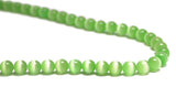 6mm Fiberoptic Cats Eye Round Mint Green 6CE25 - Mi Amore